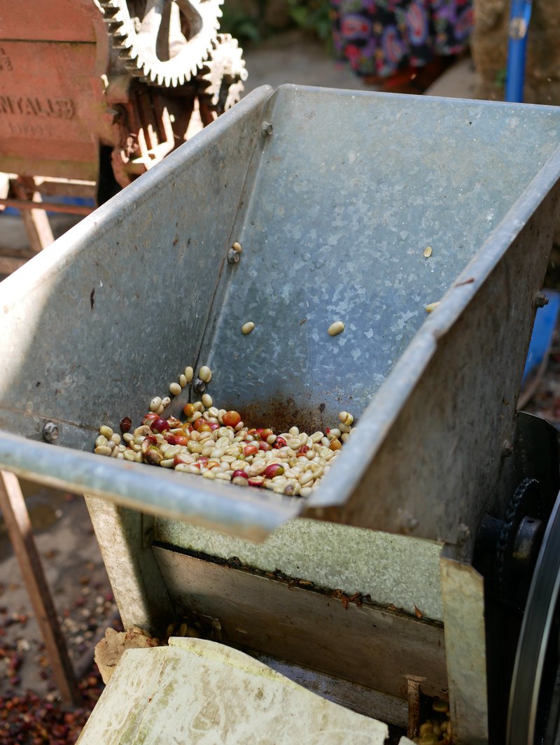 Pulping machine