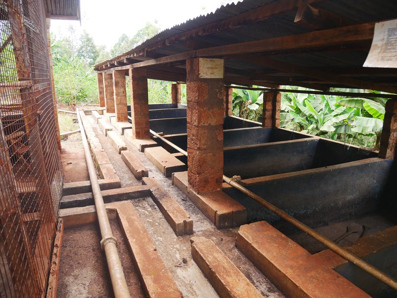 Fermentation _tanks_kenia