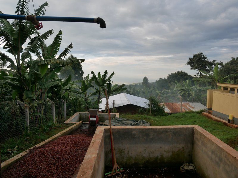 Washing-station-sipi-uganda