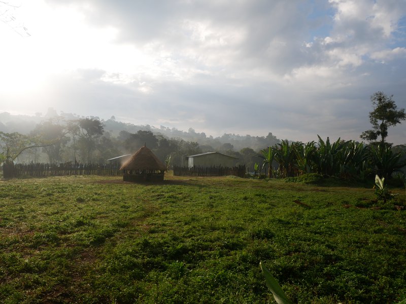 Morning view at Heleanna's farm, Sheka reserve, Ethiopia
