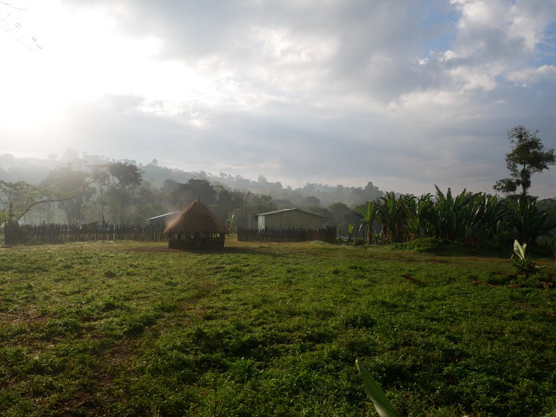 Morning view at Heleanna&#x27;s farm, Sheka reserve, Ethiopia