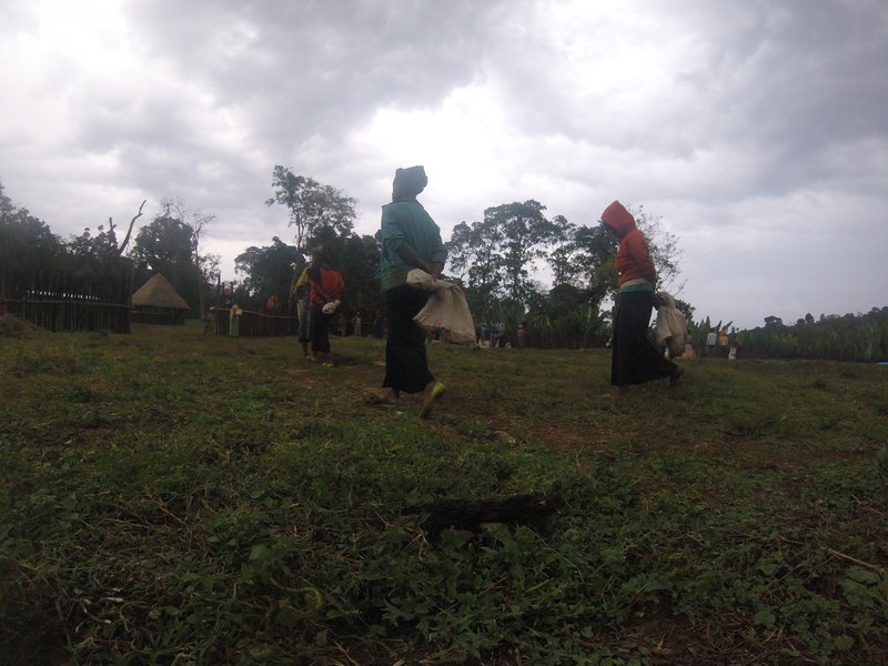 End of the working day for pickers