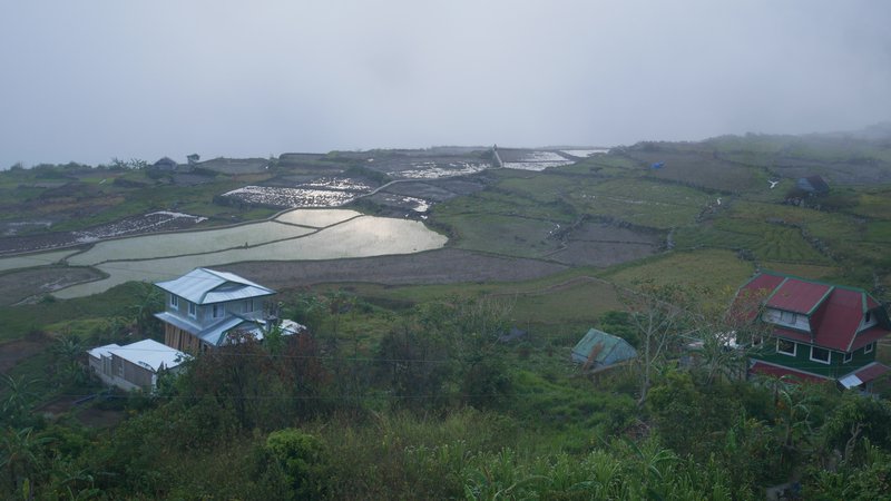 Coffee & rice terraces, Sagada, Philippines