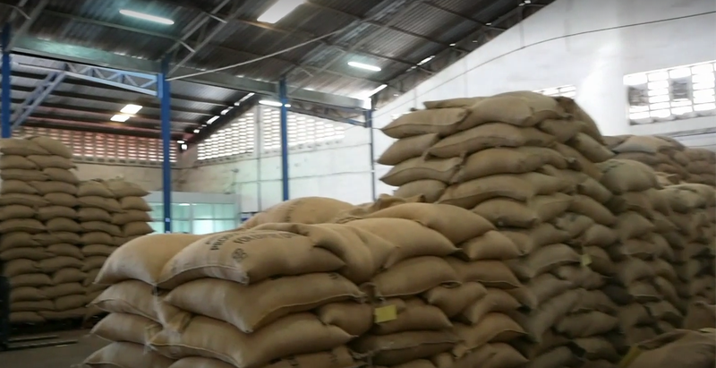 coffee-bags-dormans-warehouse-dar-es-salaam