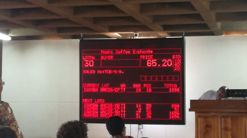 coffee-auction-screen