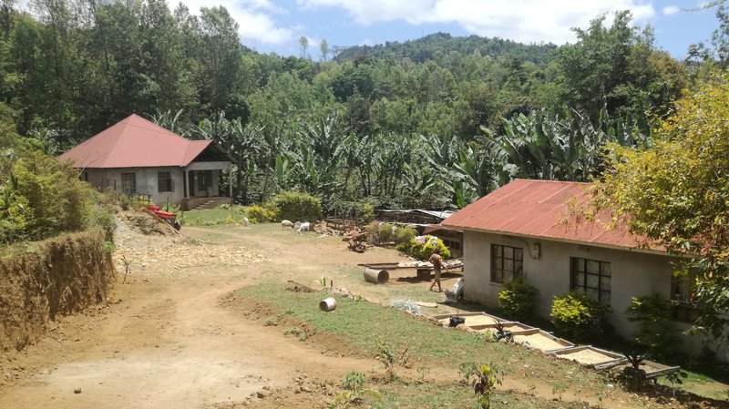 gideon's farm
