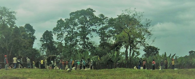 Pickers waiting for their bag to be weighed