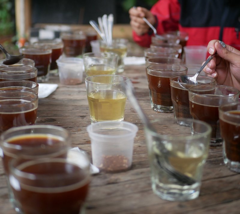 Cupping Klasik Beans coffees, Mount Puntang, West Java