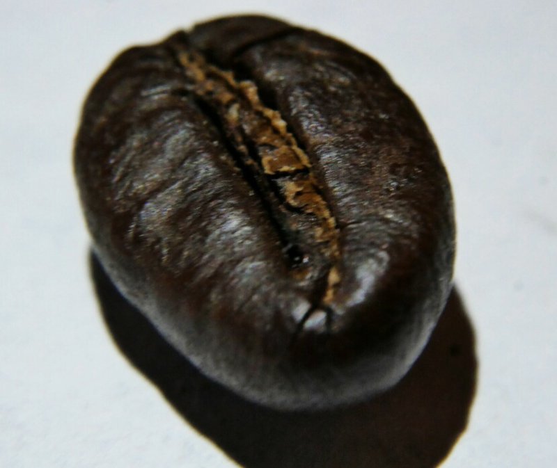 Liberica roasted bean