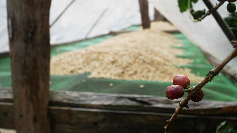 View from Kalsada Farm, Sitio Belis, Philippines