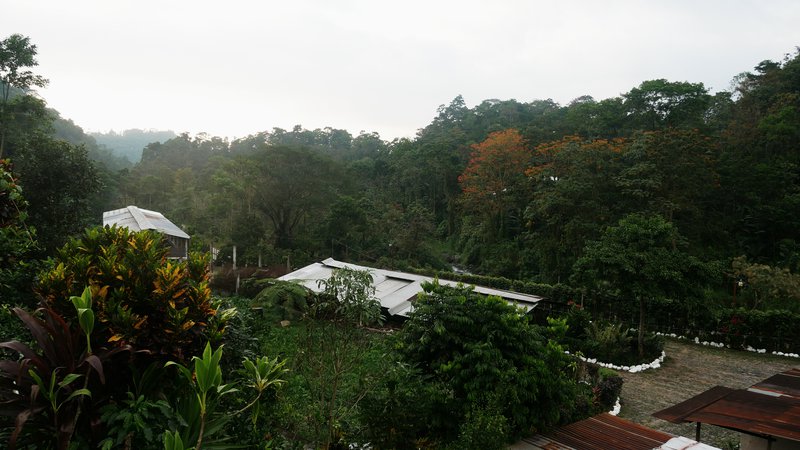 La Marina Coffee Farm, San Marcos Department, Guatemala