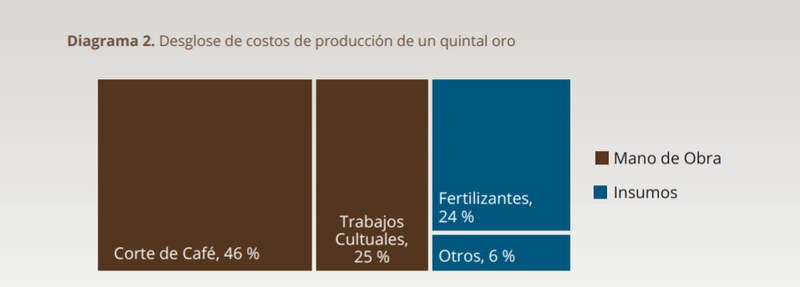 breakdown of production costs of one quintal of green coffee