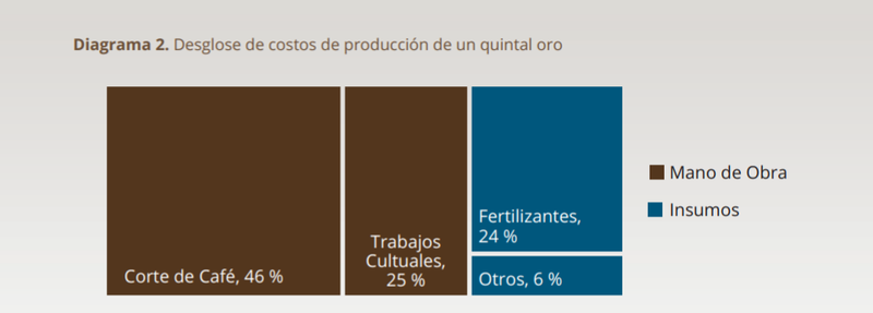 desglose de costos de producción de un quintal oro