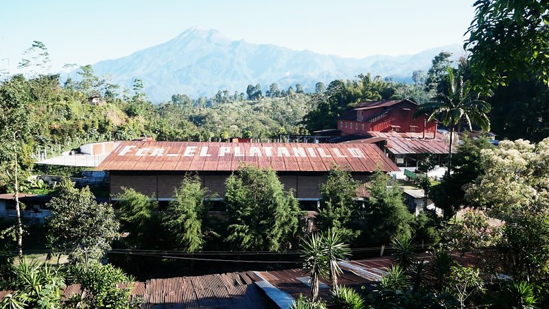 Finca El Platanillo, San Marcos, Guatemala