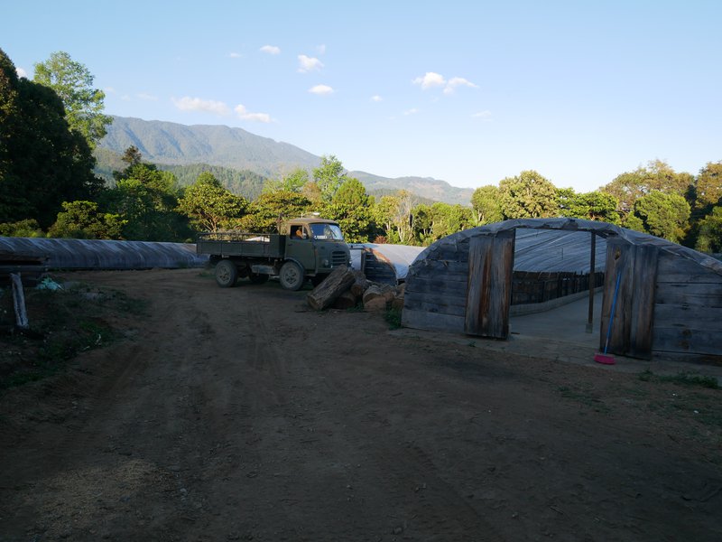 Drying patios, Finca La Bella, Coban, Guatemala